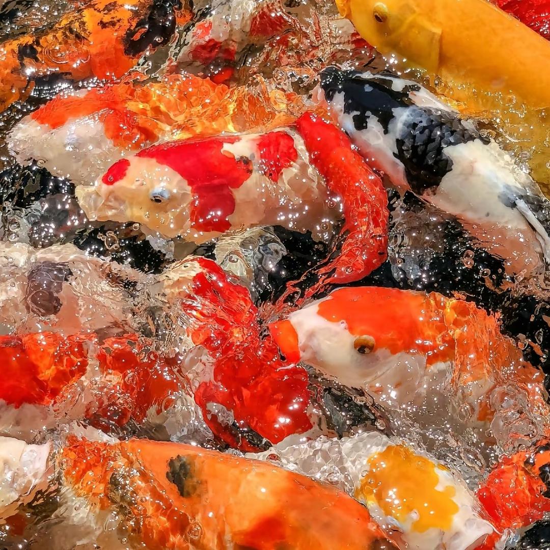 郭门永存
