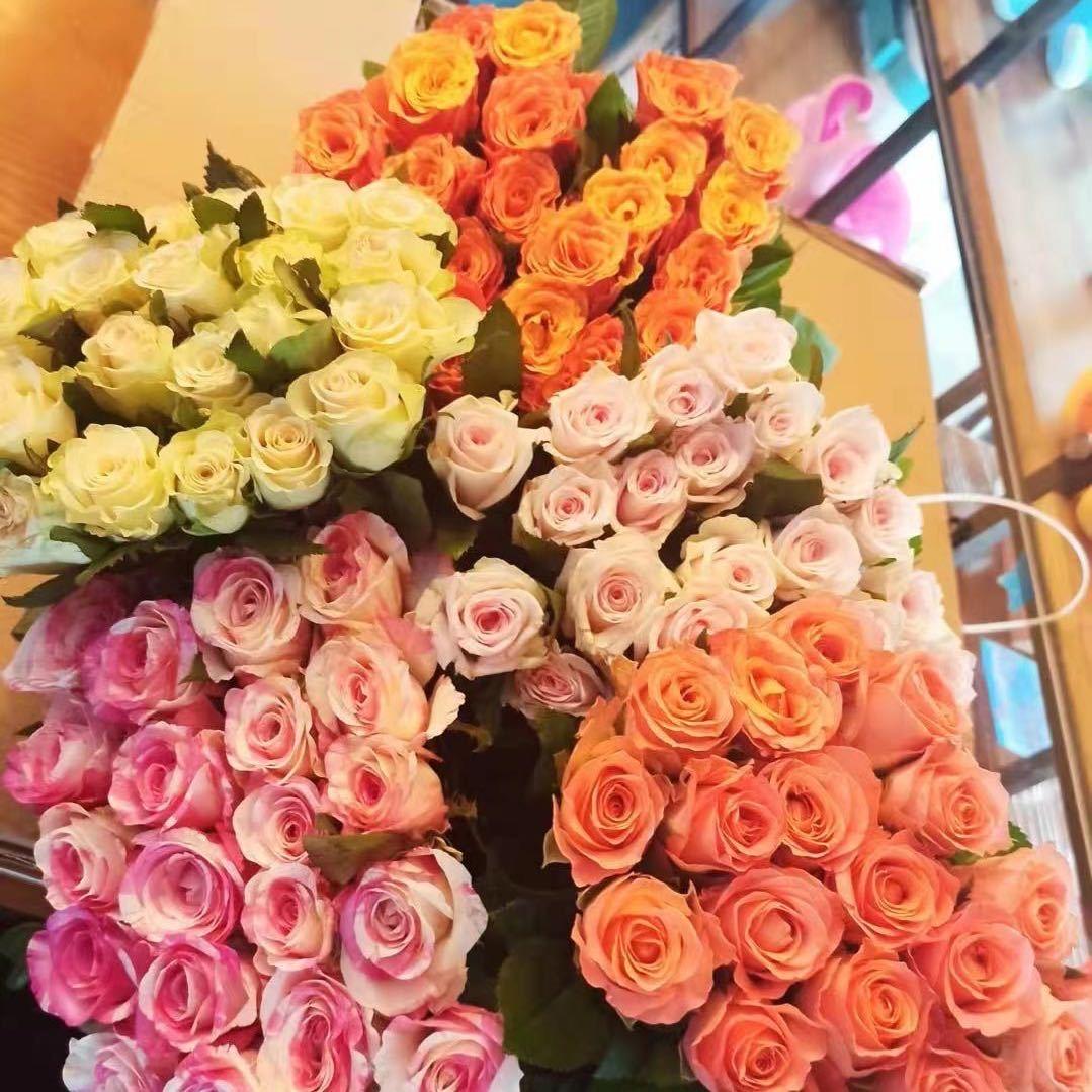 山东招贤玫瑰