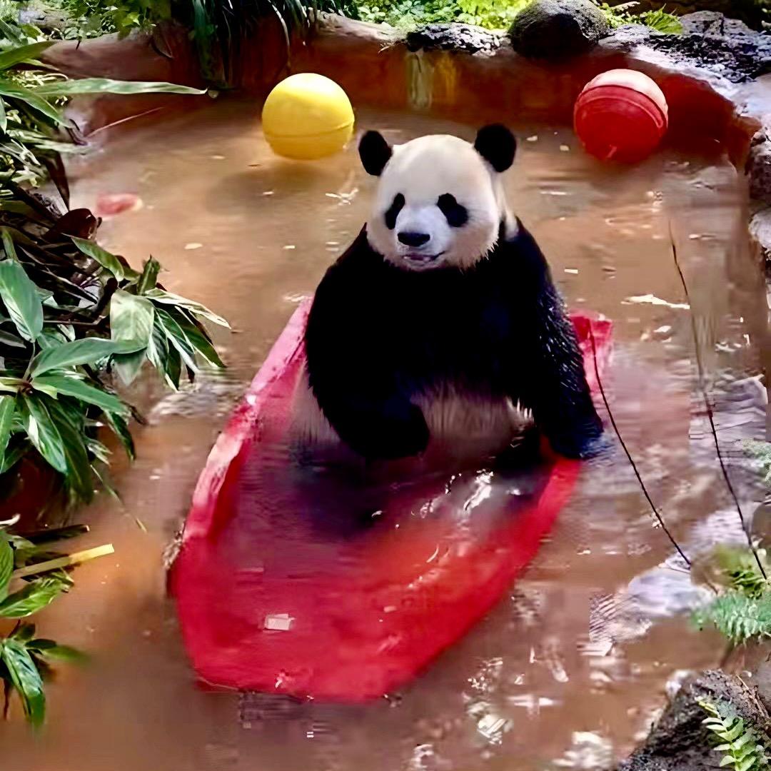 懒神