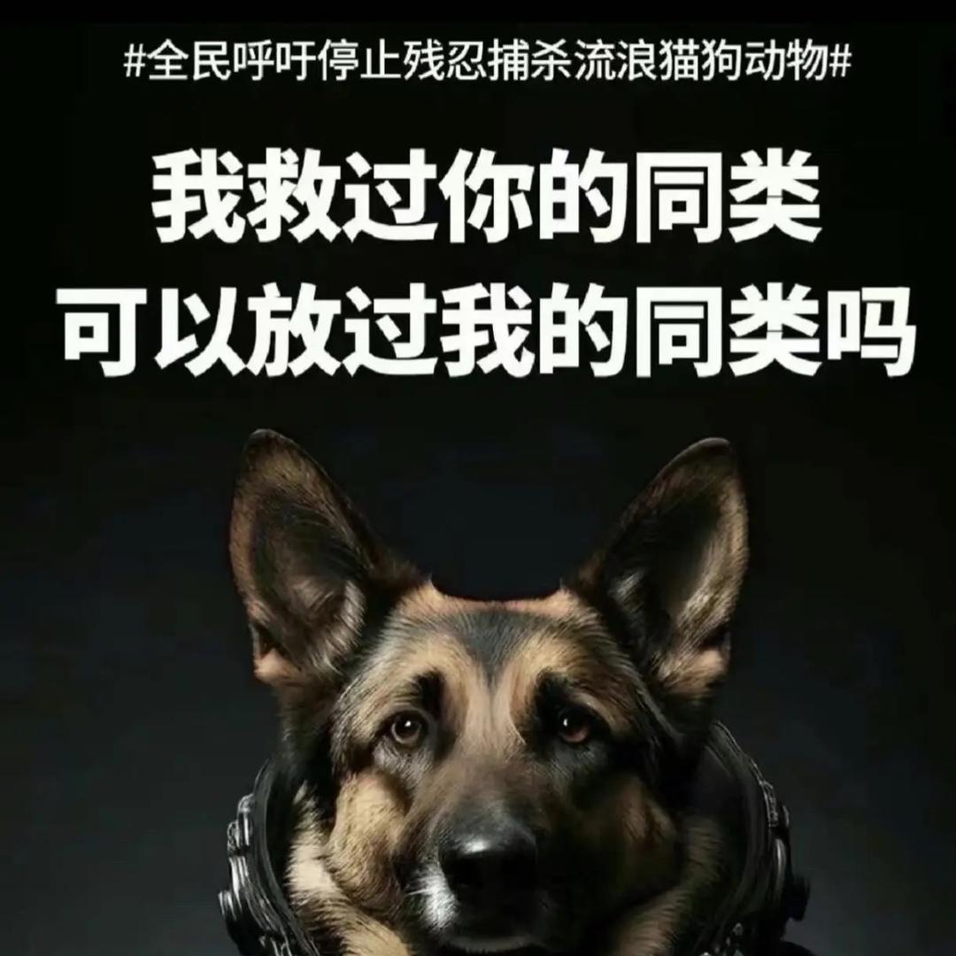我的皇帝陛下