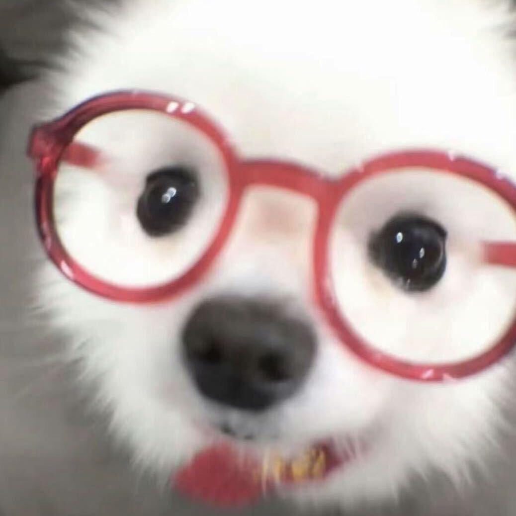 Yangᵒᵏ