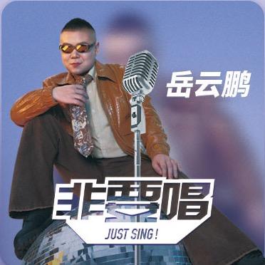 2025岳云鹏非要唱巡回演唱会·环宇兄弟