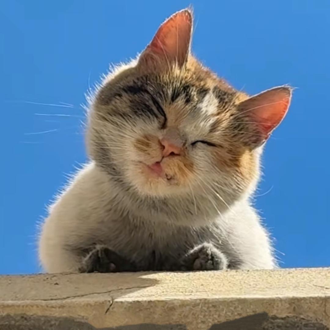 Biubiu~~
