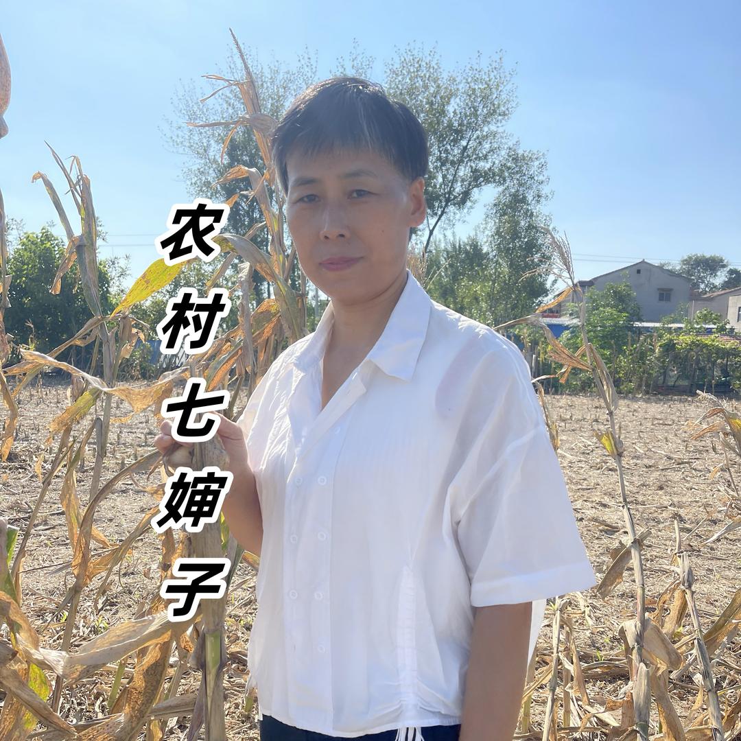 农村七婶子（正能量）