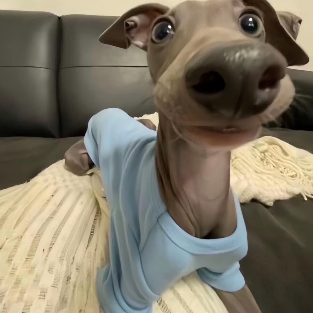 ㅤㅤ  ￰ㅤ  ㅤㅤH