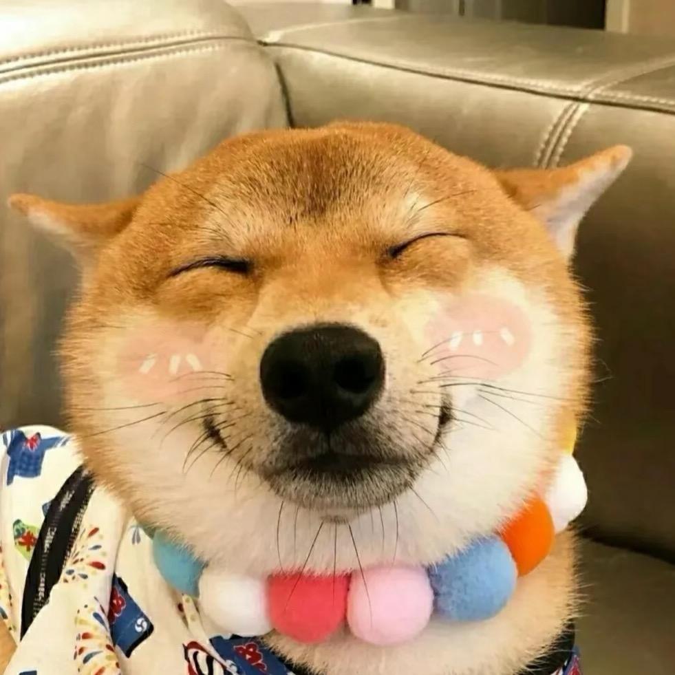 养宠（直播选狗）