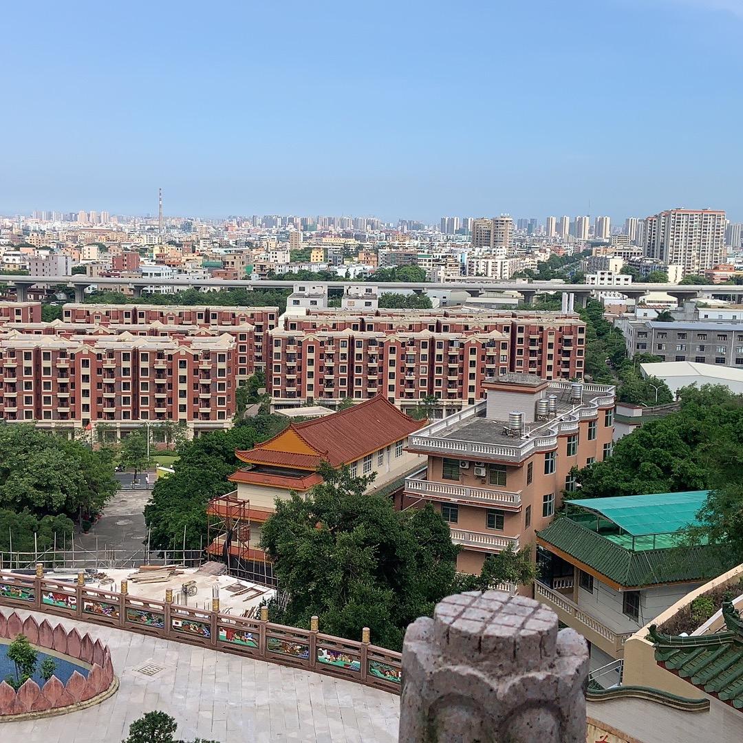 海马
