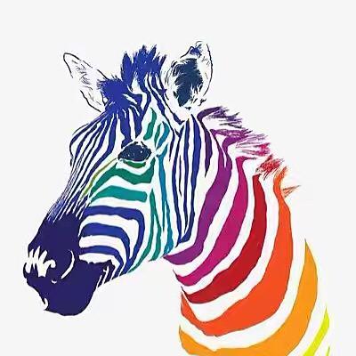 半山读书济宁大斑马文化传播有限公司图书专卖店