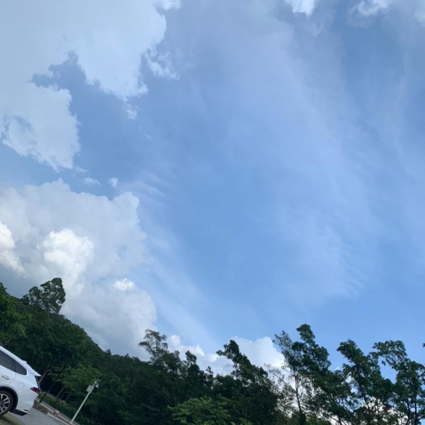 广州雪兰诺女包