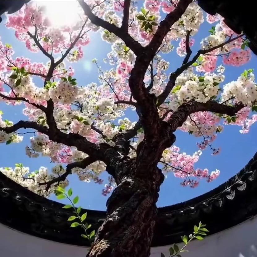 幸福感头像