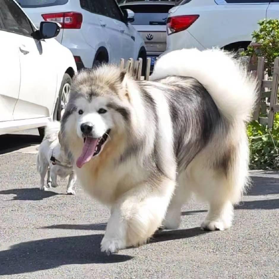 八九不离十
