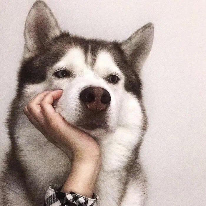 🌸    𝑾. º ⁶ º ⁴