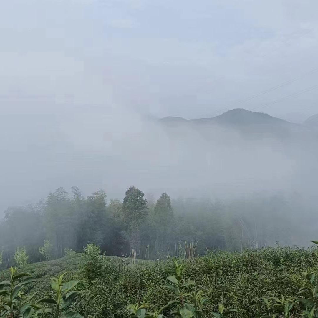 灵韵深藏🍂