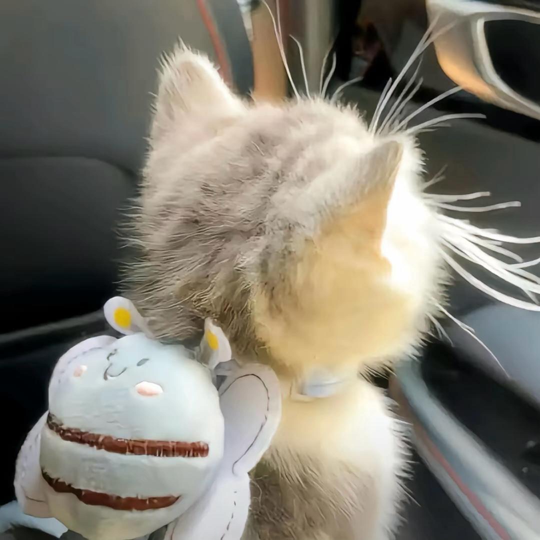 zz^