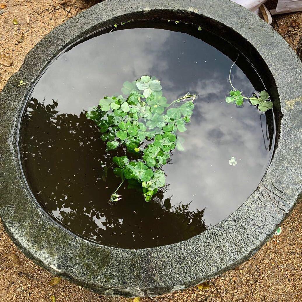 浩哥哥吖