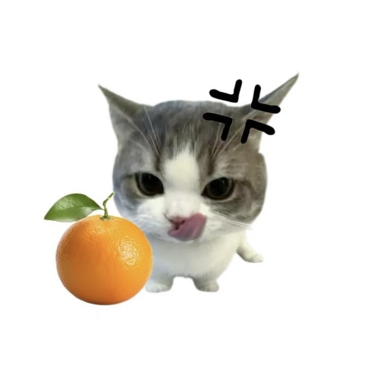 Xylon