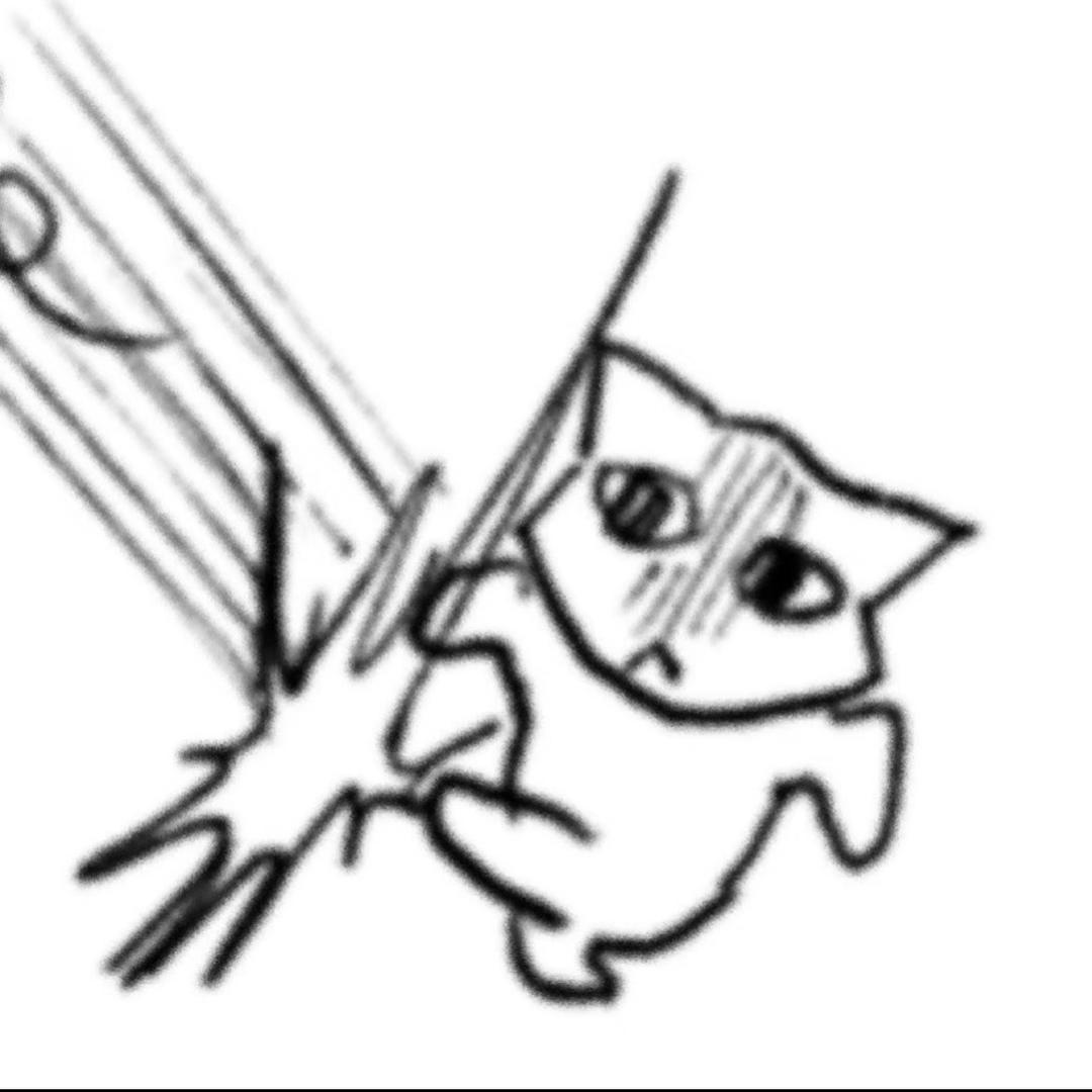 跑了个周周