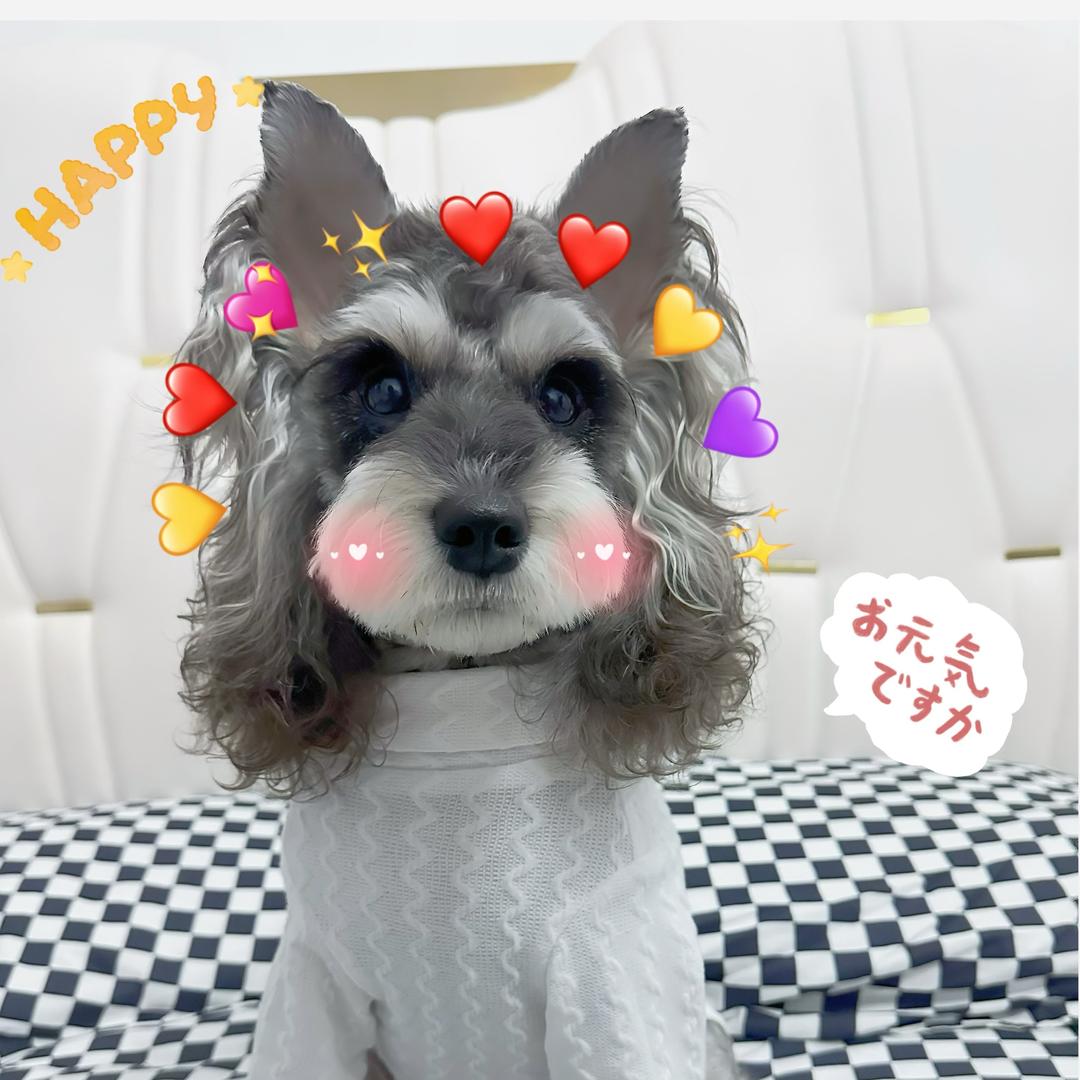 八饼吖！
