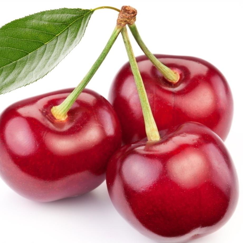 💥樱你而来🍒