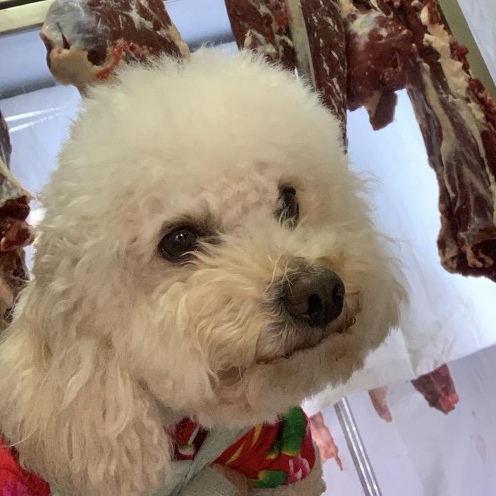 左手拉右手