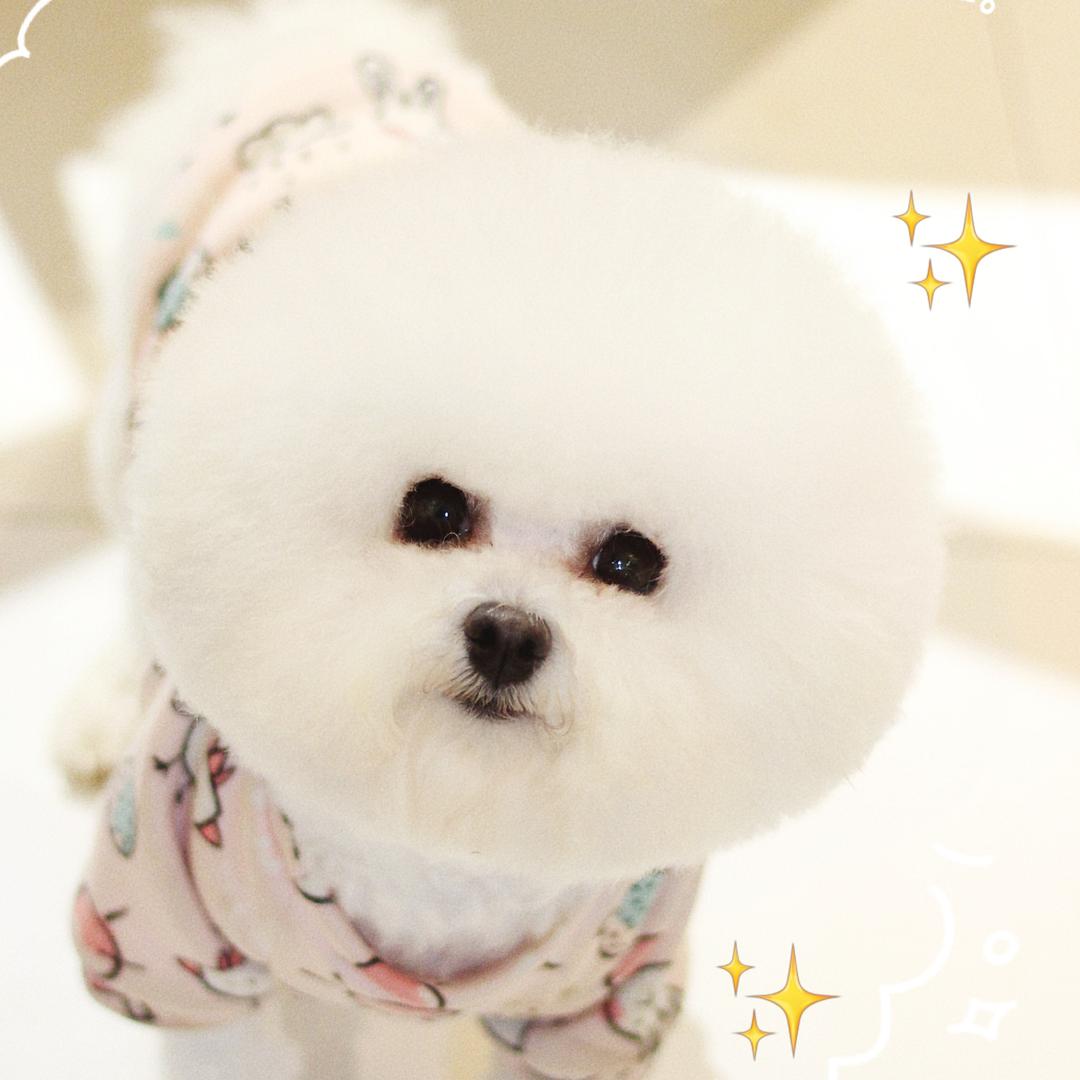 白三天