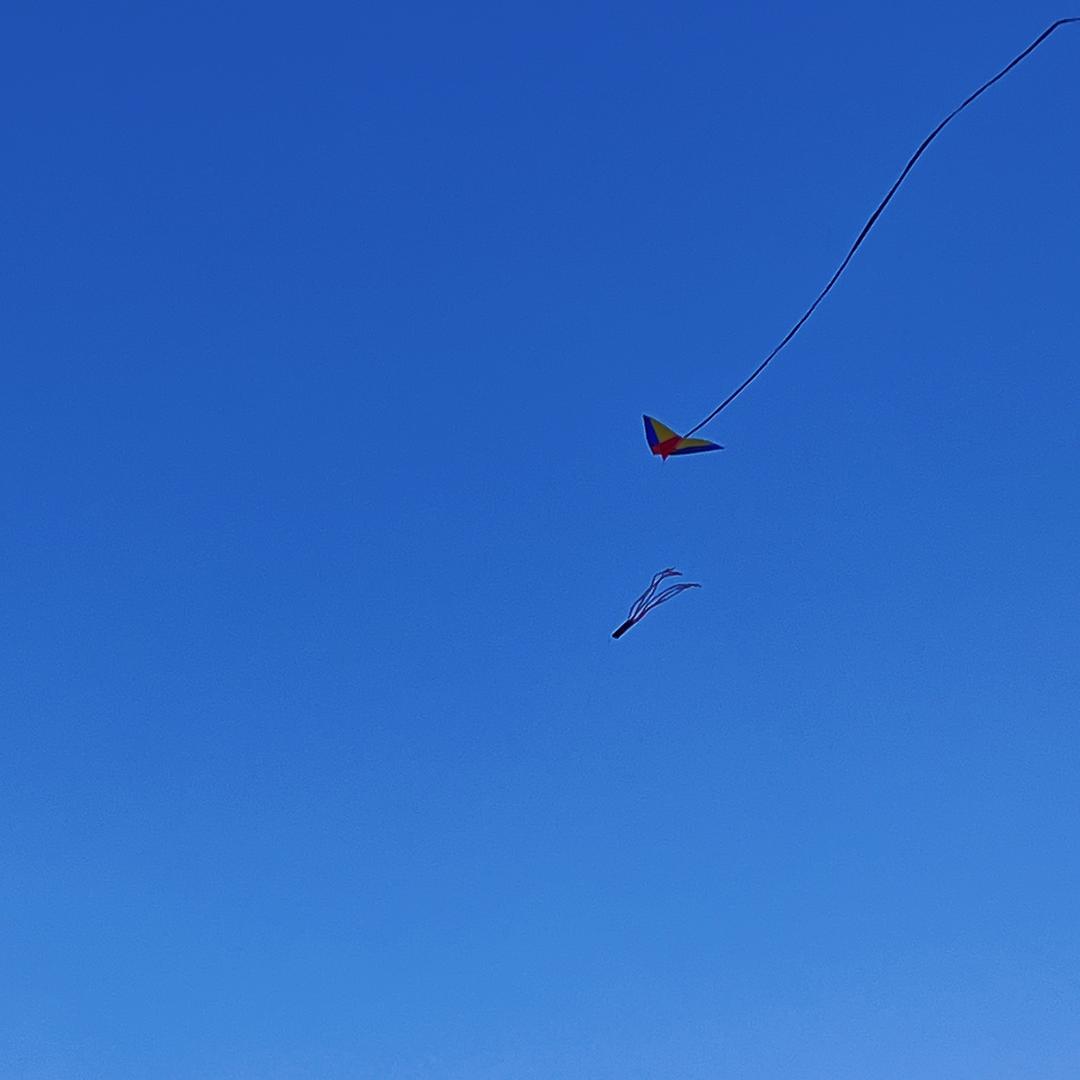 李不懂.