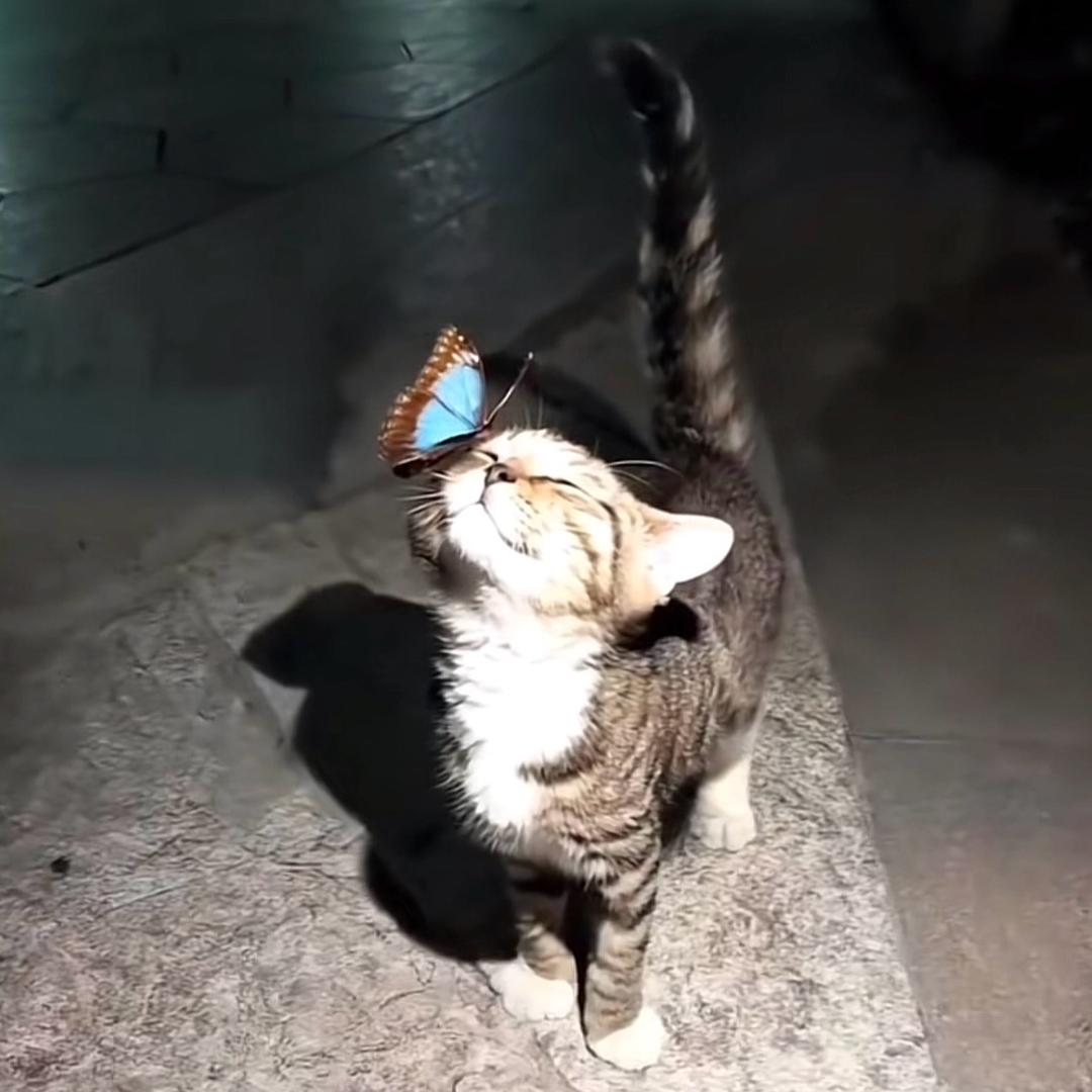 不爱吃早餐.
