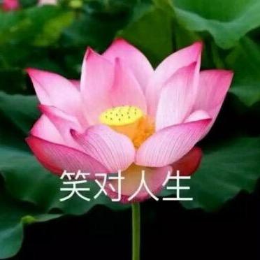 我要稳稳的幸福