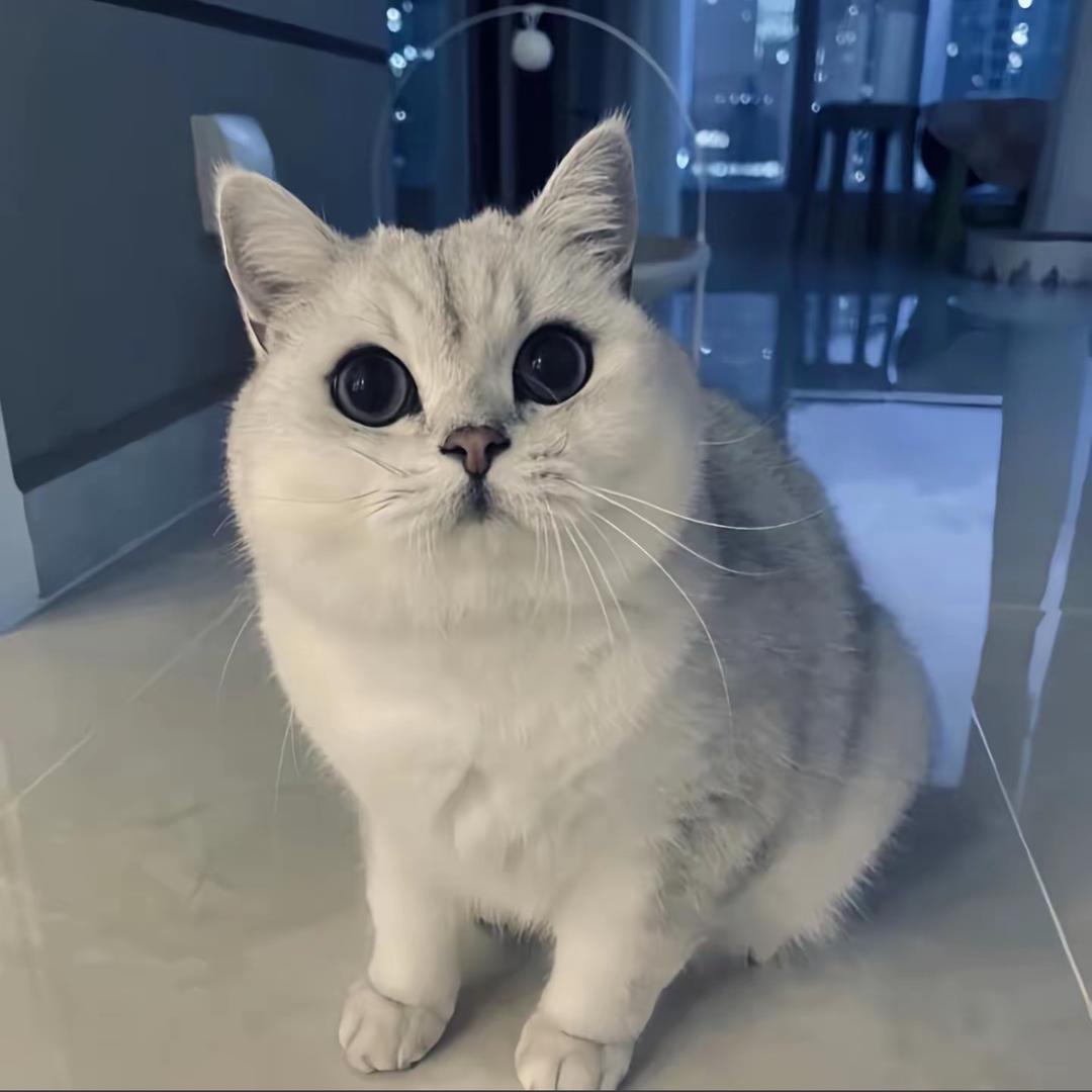 过往.