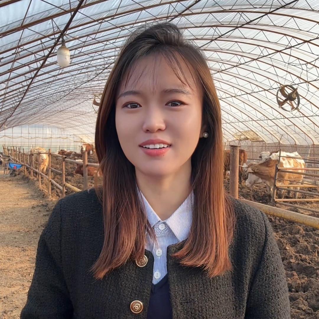小慧学养牛