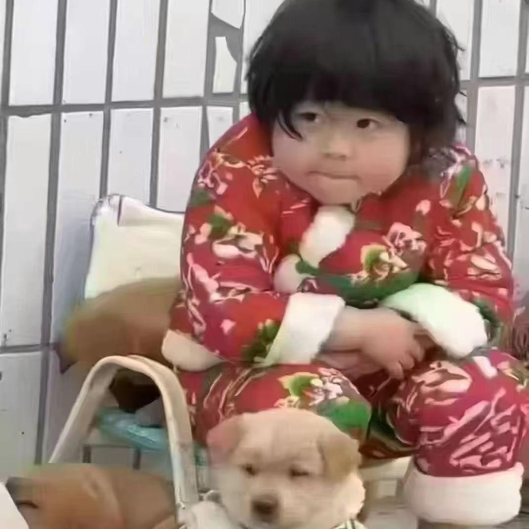 房产～刘憨憨