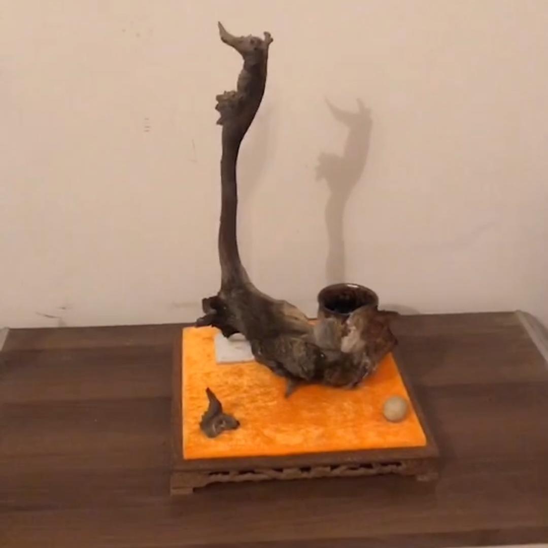 根抱石