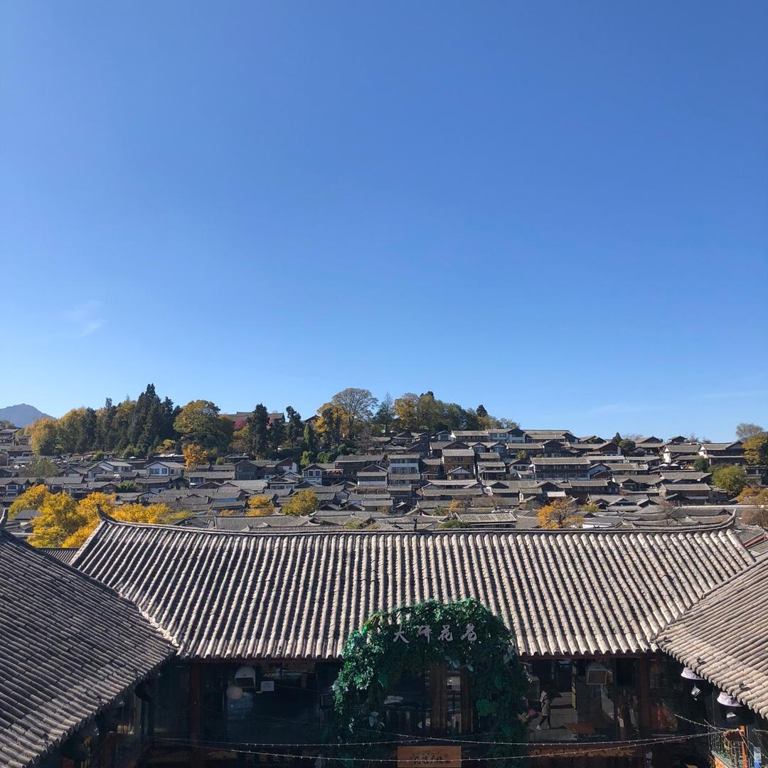 蝴蝶🦋喝咖啡☕️头像