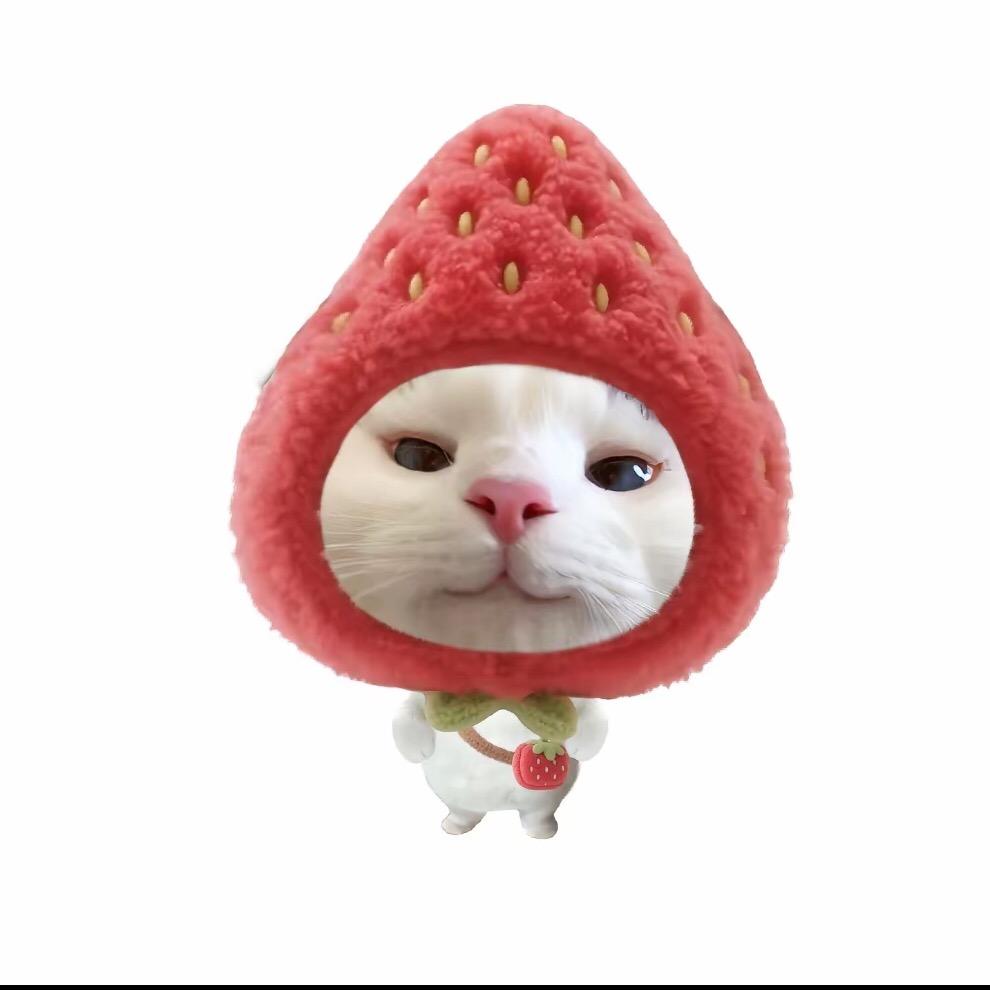 莓猫饼