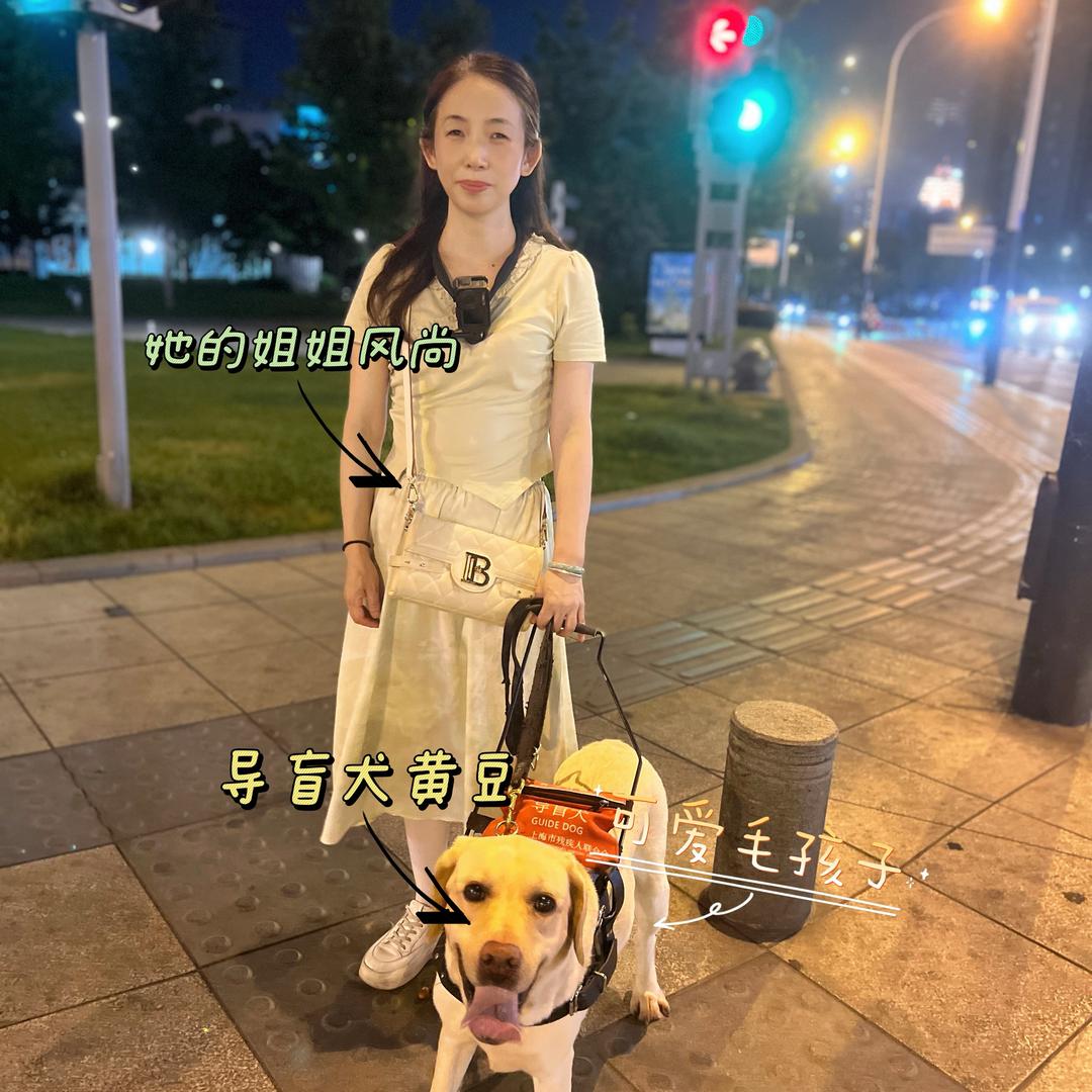 风尚和导盲犬黄豆🦮