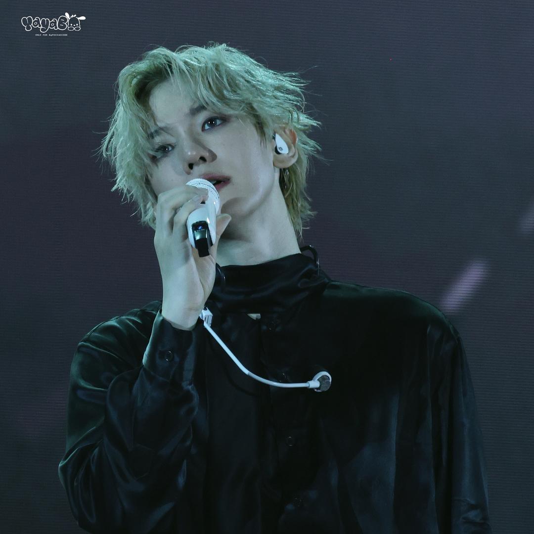 刘亦菲苏州分霏