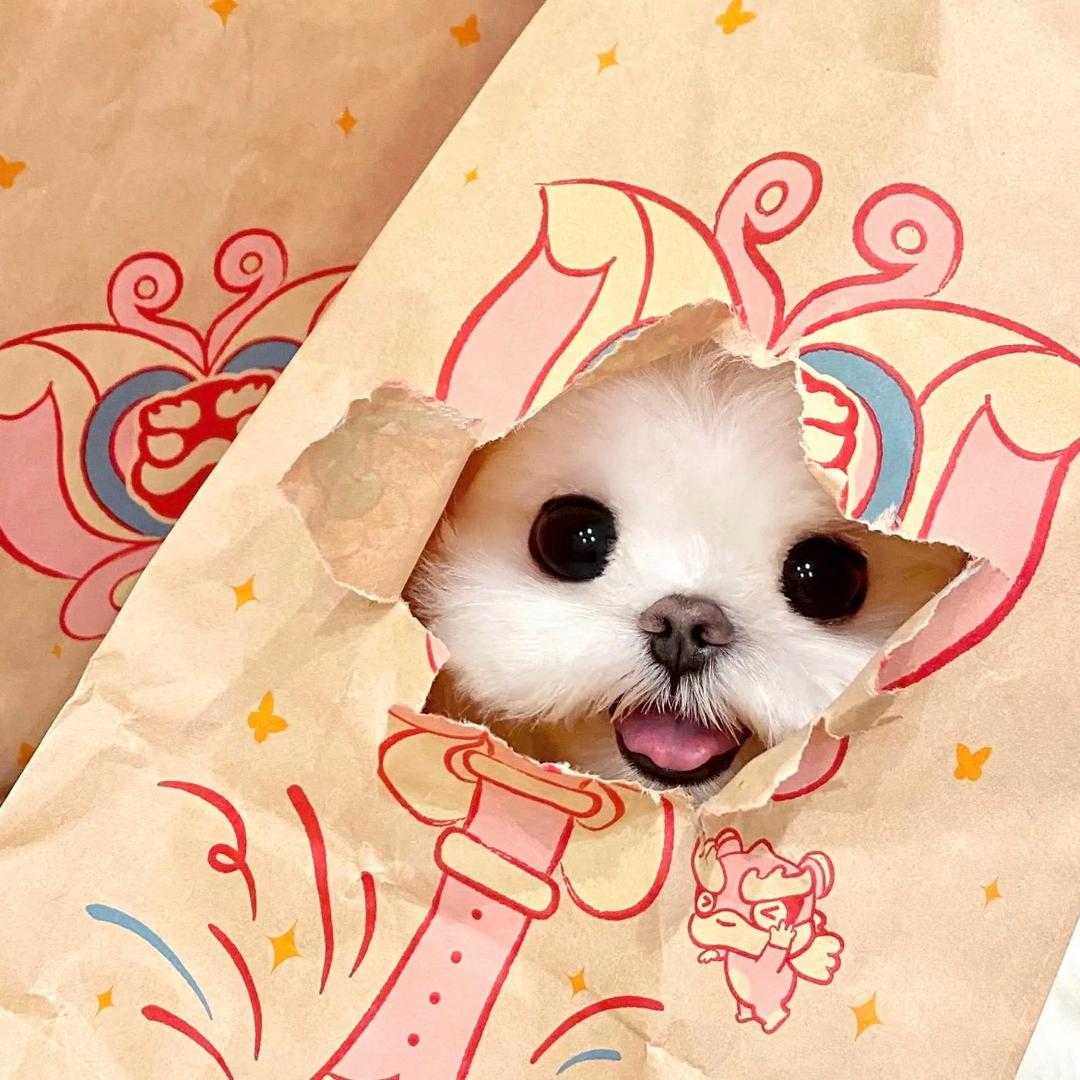 狗熊岭在逃翠花