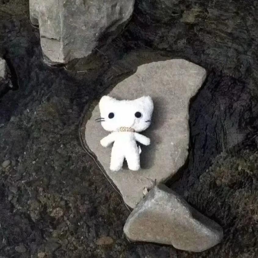 一块受潮的饼干