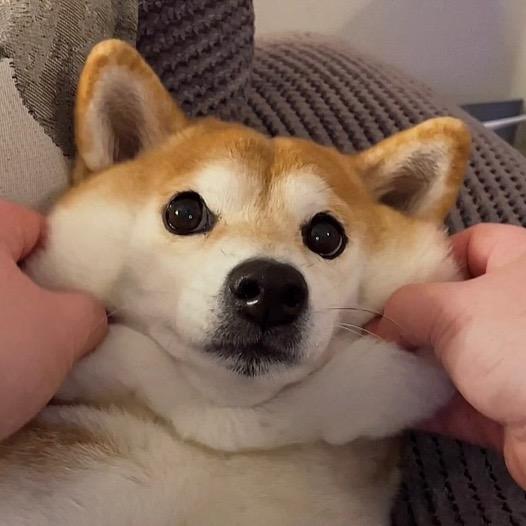 念头.