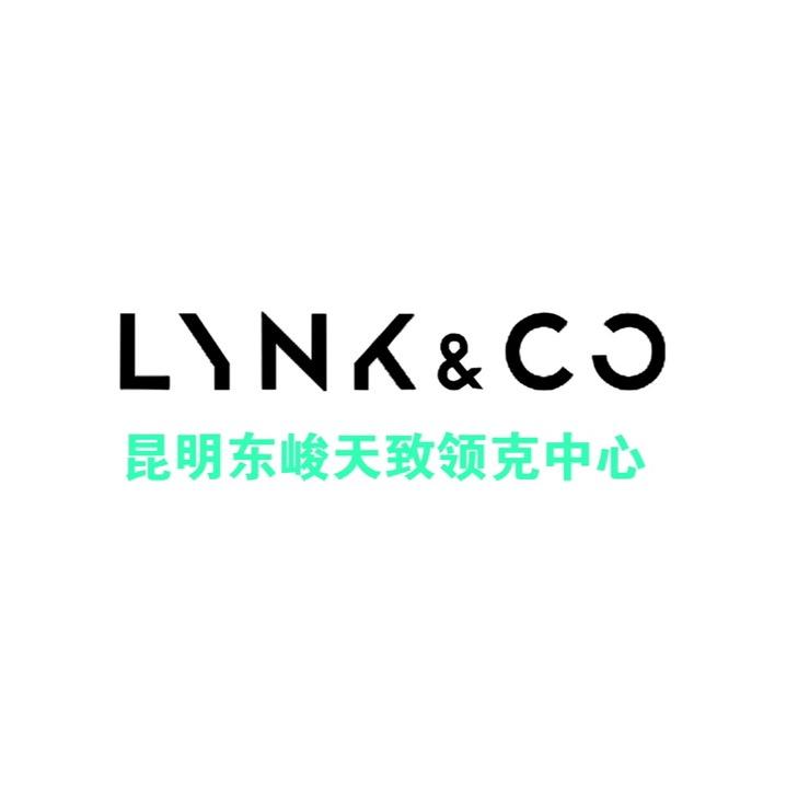 东峻天致领克店