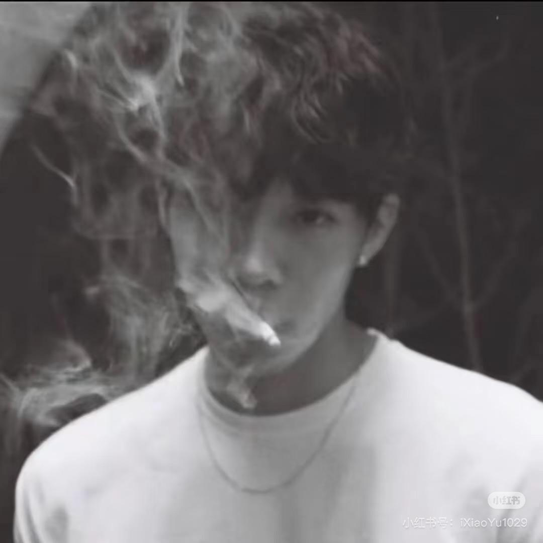 常常荷兰鼠（奋斗版）