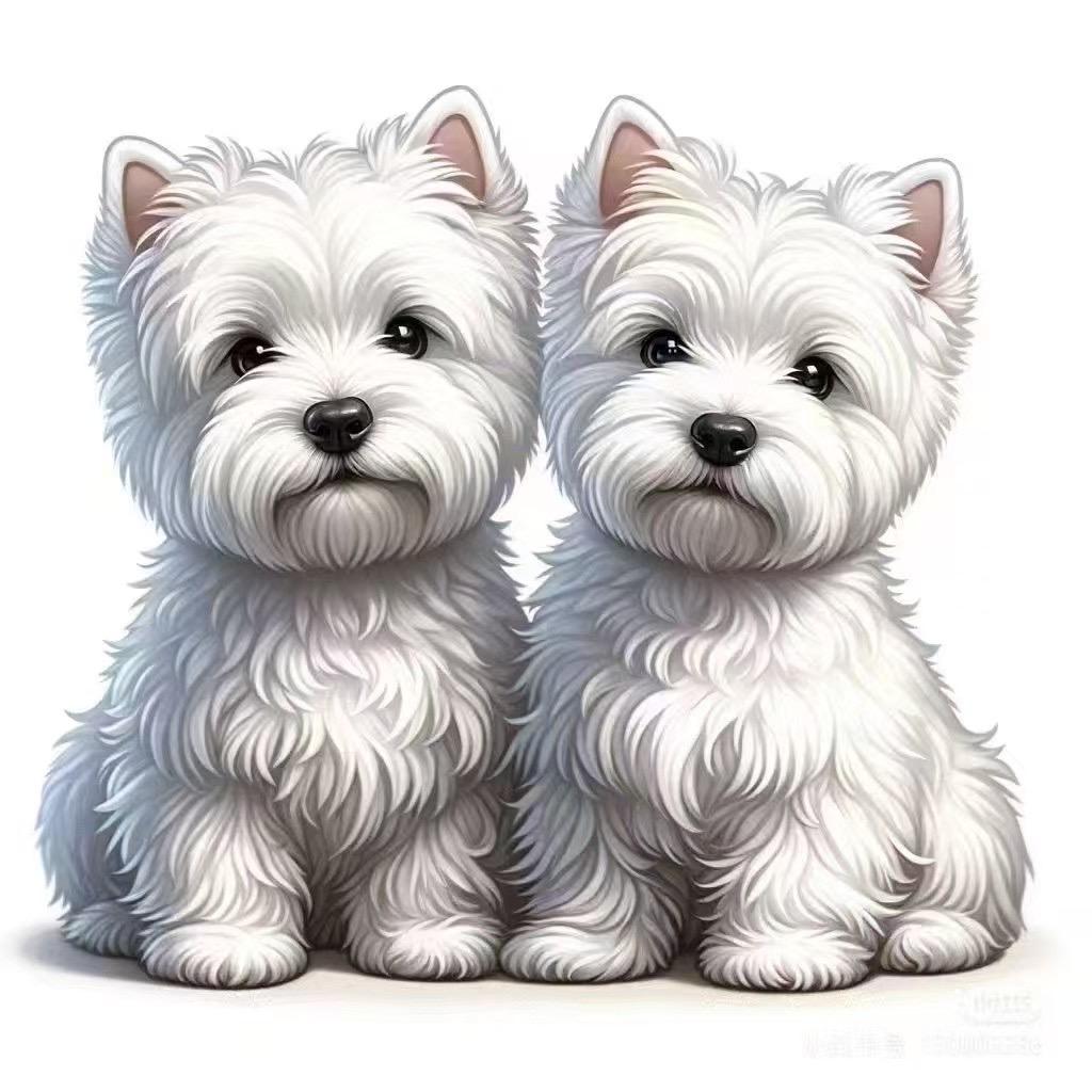 🦁爱尚🦁高端奢宠