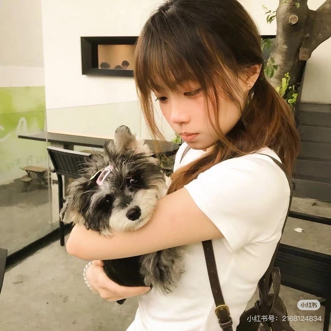 加菲猫大王万岁万岁万万岁
