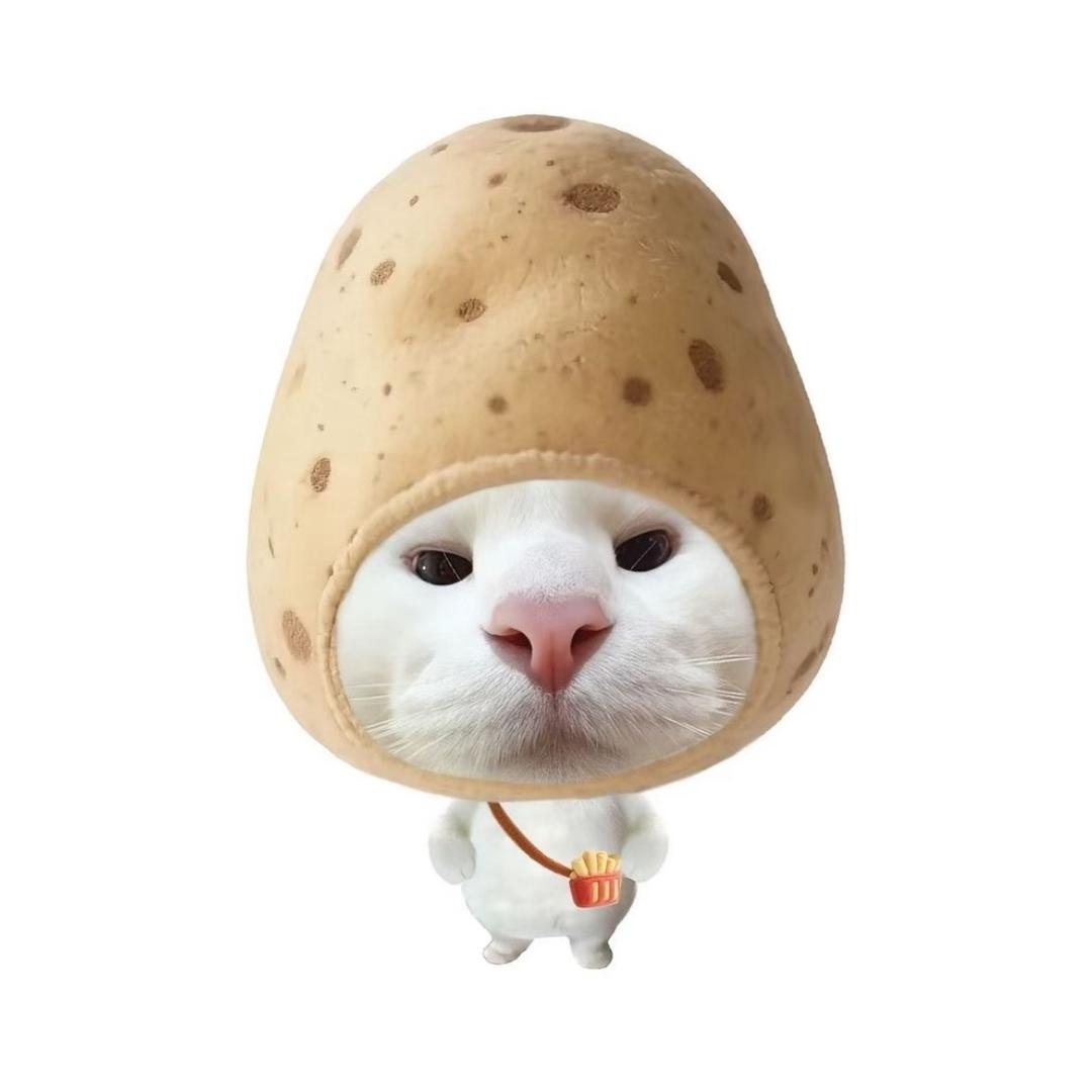 否极泰来