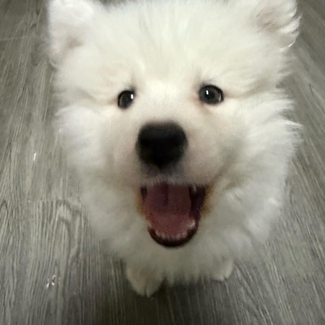 Aa玫瑰姐🌹🐈‍⬛