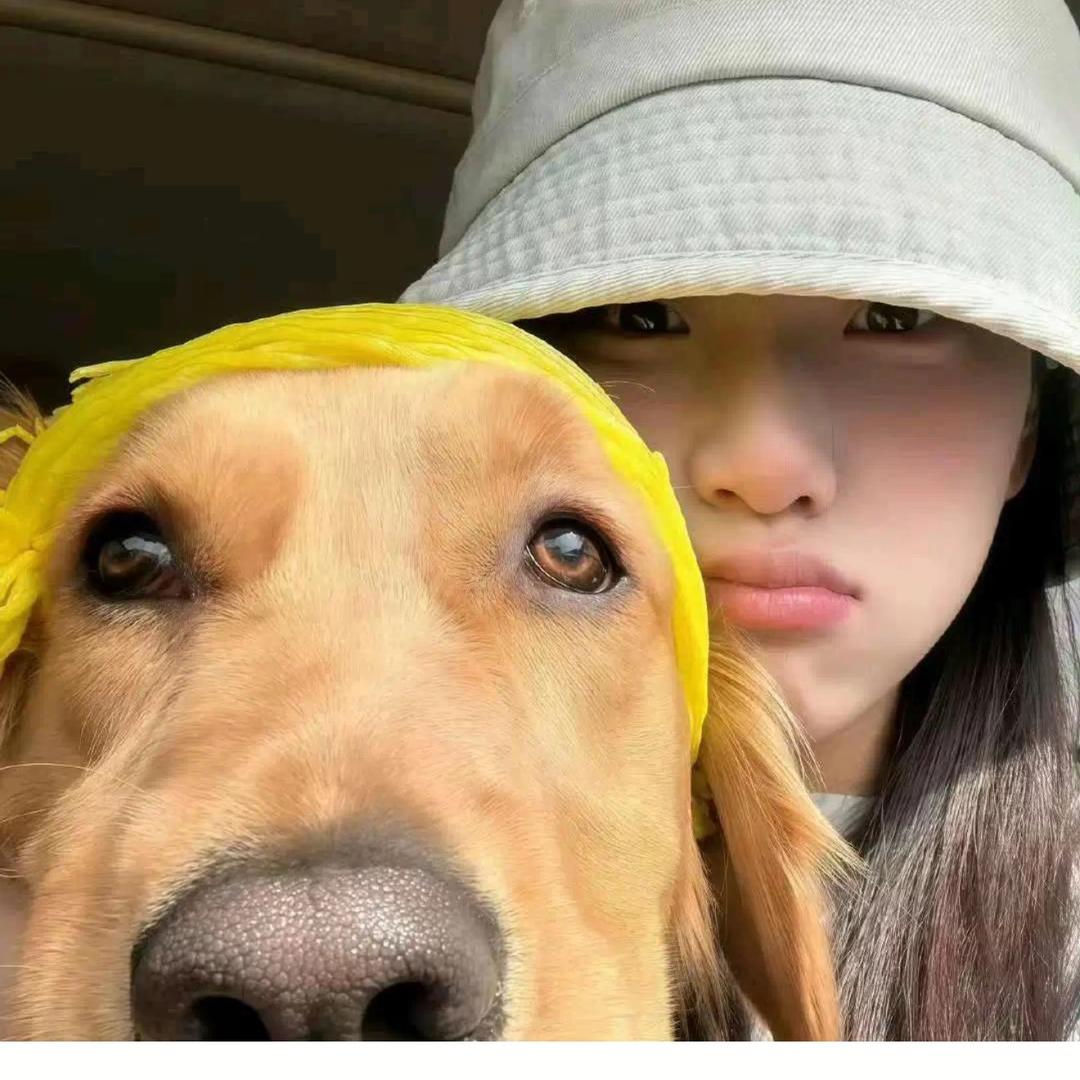 年糕