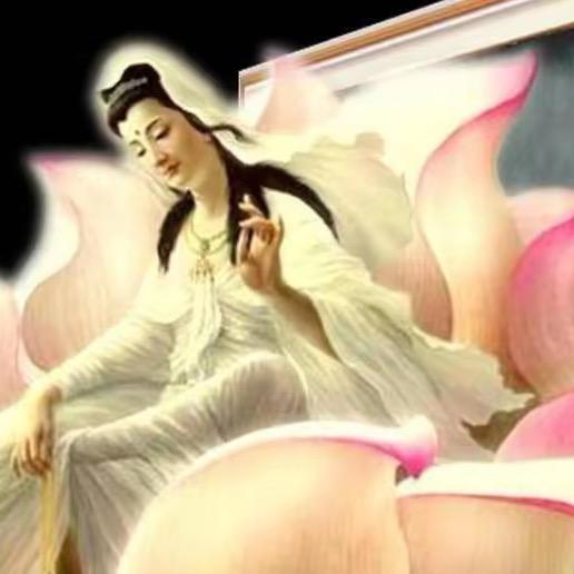 月亮🌙