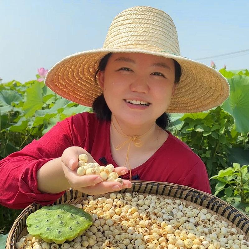 菌菇小二