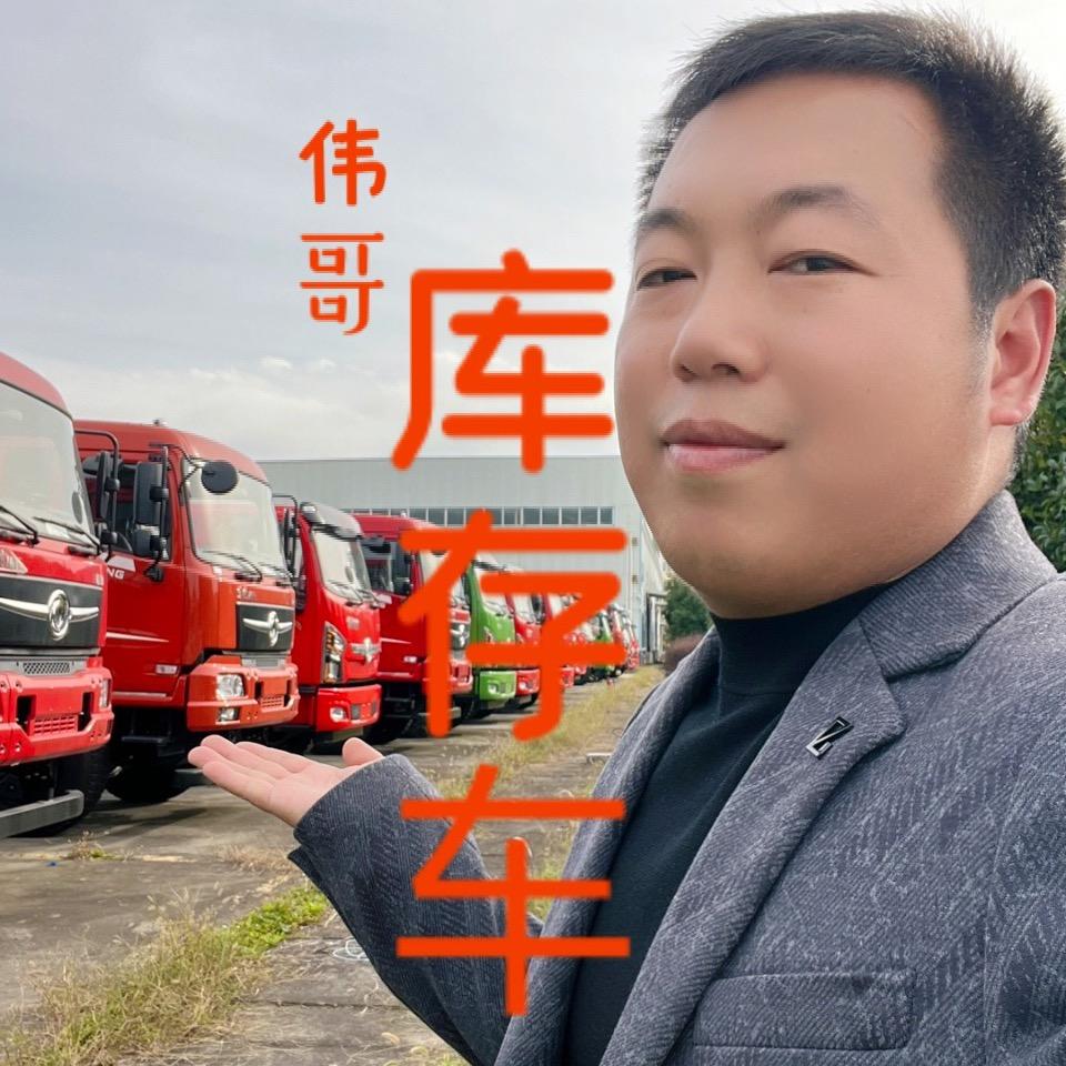 伟哥库存车
