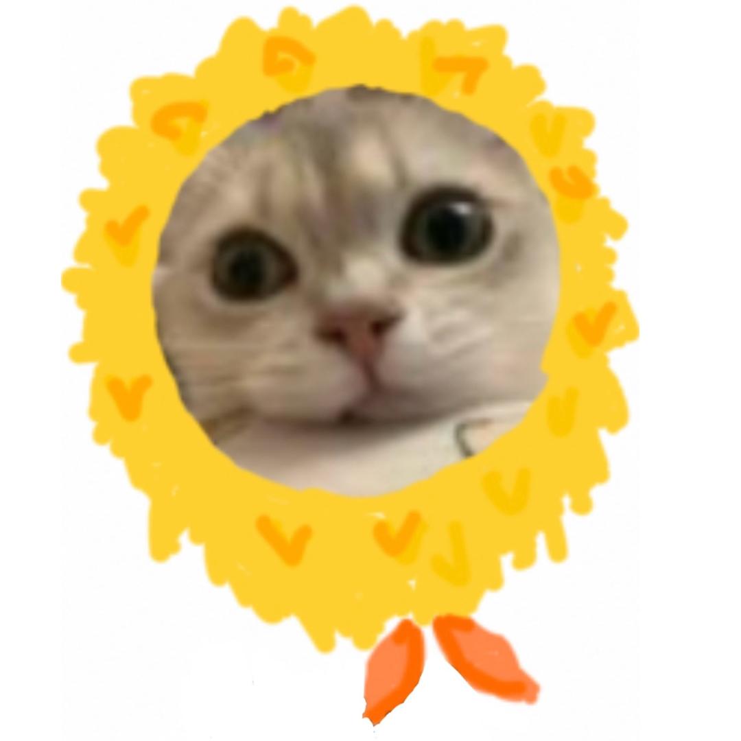 鲸鲸鲸鱼（别限我。